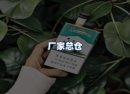 专业团队办公环境